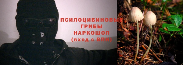 трава Арсеньев
