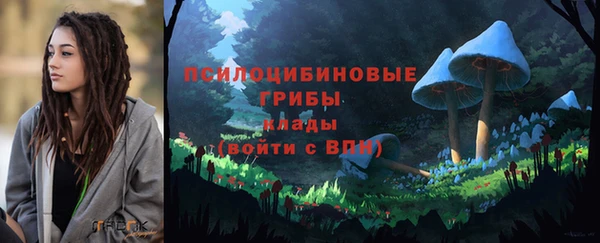 a pvp Аркадак
