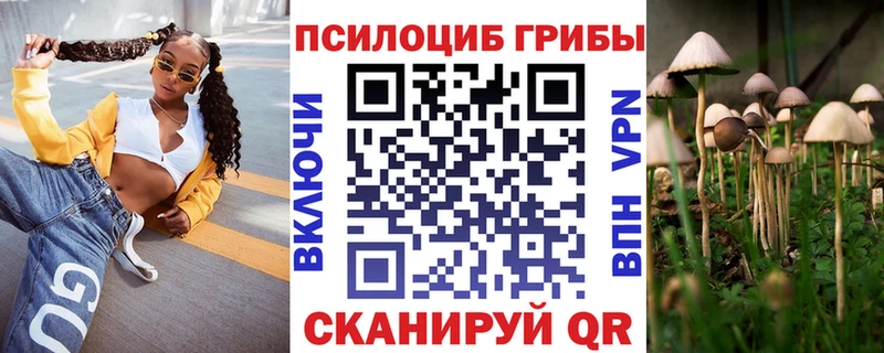Псилоцибиновые грибы Psilocybine cubensis  blacksprut   Нижняя Салда 